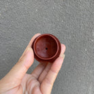 Huo Yan Gui Long 250cc - Yixing Handmade Teapot - zycs_China
