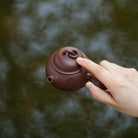 Ji Shi Tang Yu 180cc - Yixing Handmade Teapot - zycs_China