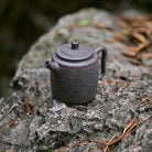 Ji Zhi 170cc - Yixing Handmade Teapot - zycs_China