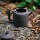 Ji Zhi 170cc - Yixing Handmade Teapot - zycs_China