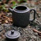 Ji Zhi 170cc - Yixing Handmade Teapot - zycs_China