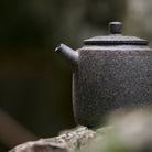 Ji Zhi 170cc - Yixing Handmade Teapot - zycs_China