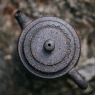 Ji Zhi 170cc - Yixing Handmade Teapot - zycs_China