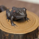 Jin Chan Shu Zhuang 170cc - Yixing Handmade Teapot - zycs_China