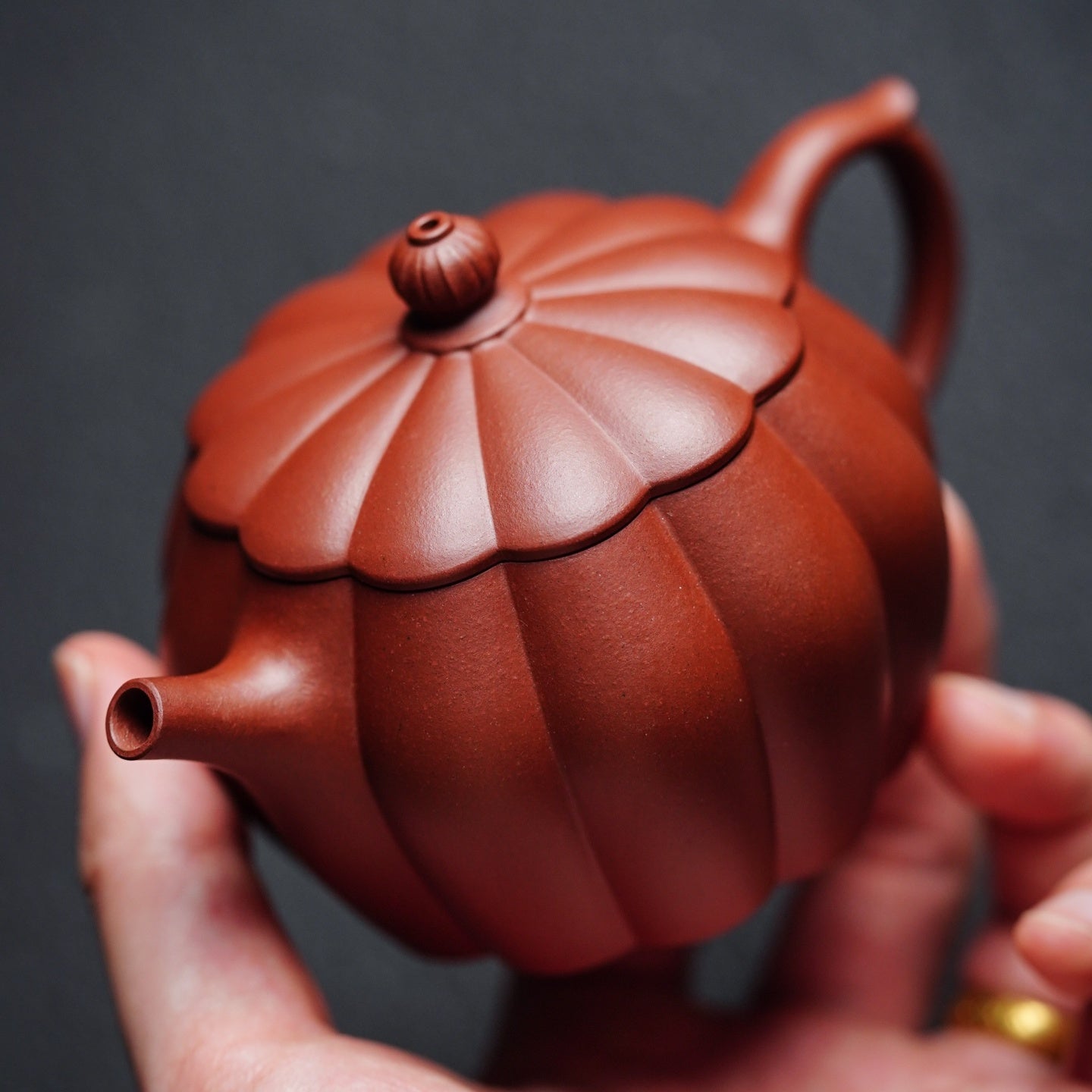 Jin Nang Jun De 200cc - Yixing Handmade Teapot - zycs_China