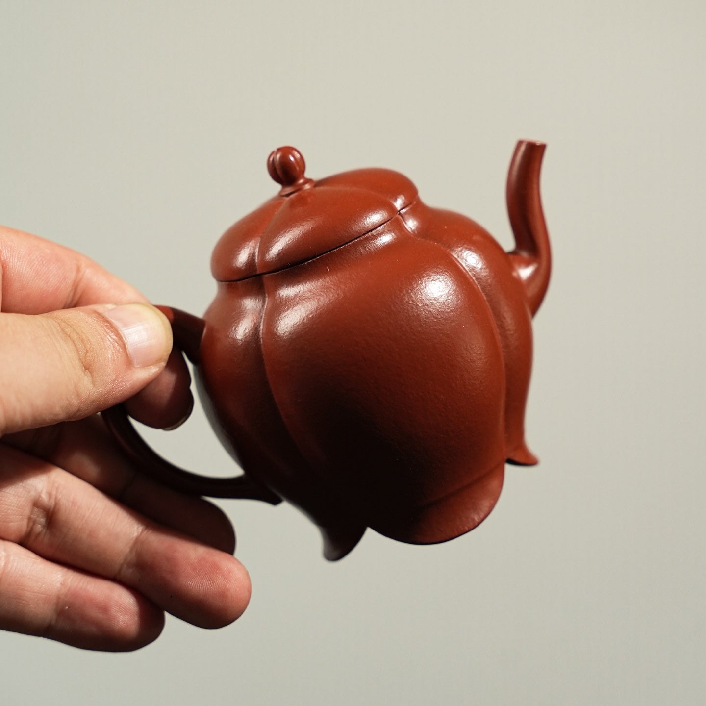 Jin Wen Ruo Ting 170cc - Yixing Handmade Teapot - zycs_China
