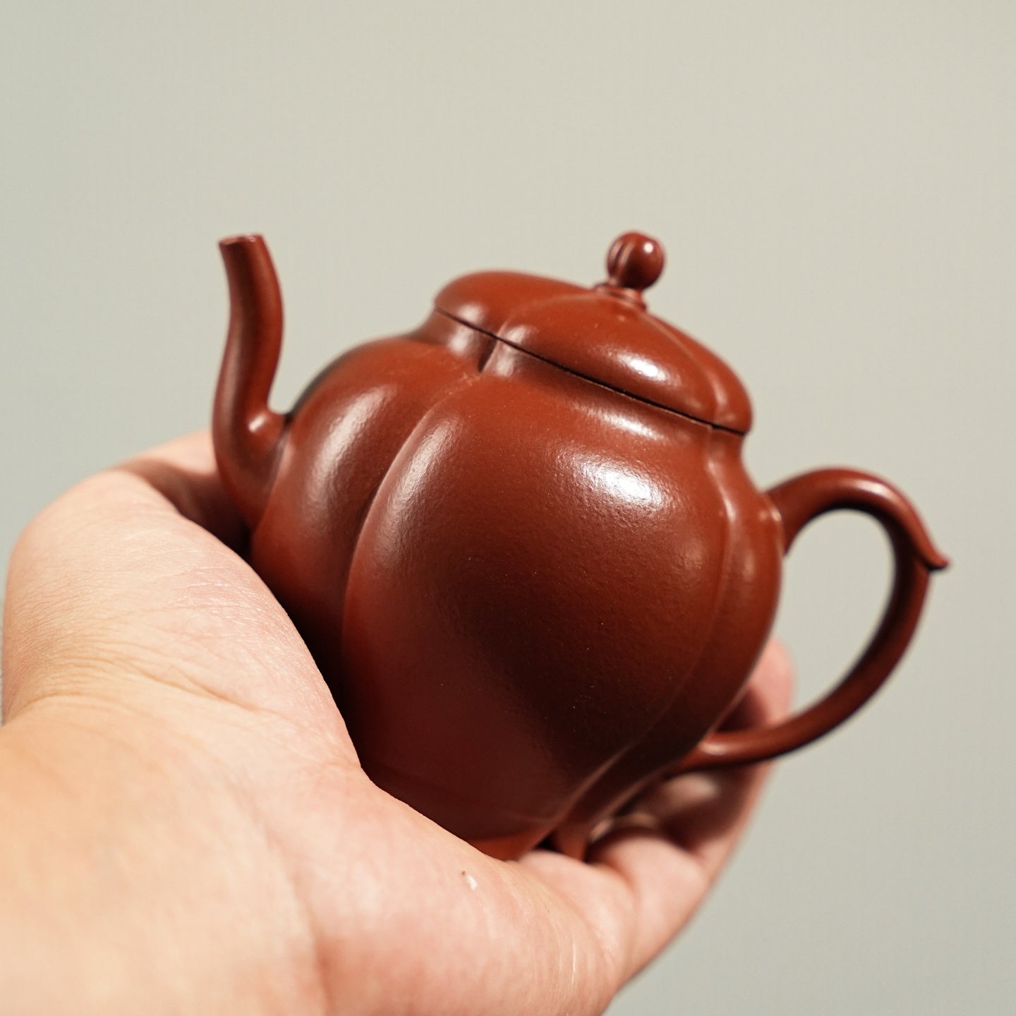 Jin Wen Ruo Ting 170cc - Yixing Handmade Teapot - zycs_China