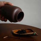 Jing Wu Chen - Yixing Handmade Zisha Teacan - zycs_China