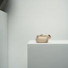 Jing Xin 140cc - Yixing Handmade Teapot - zycs_China