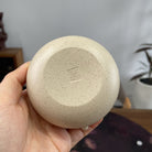 Jing Xin Ti Liang 150cc - Yixing Handmade Teapot - zycs_China