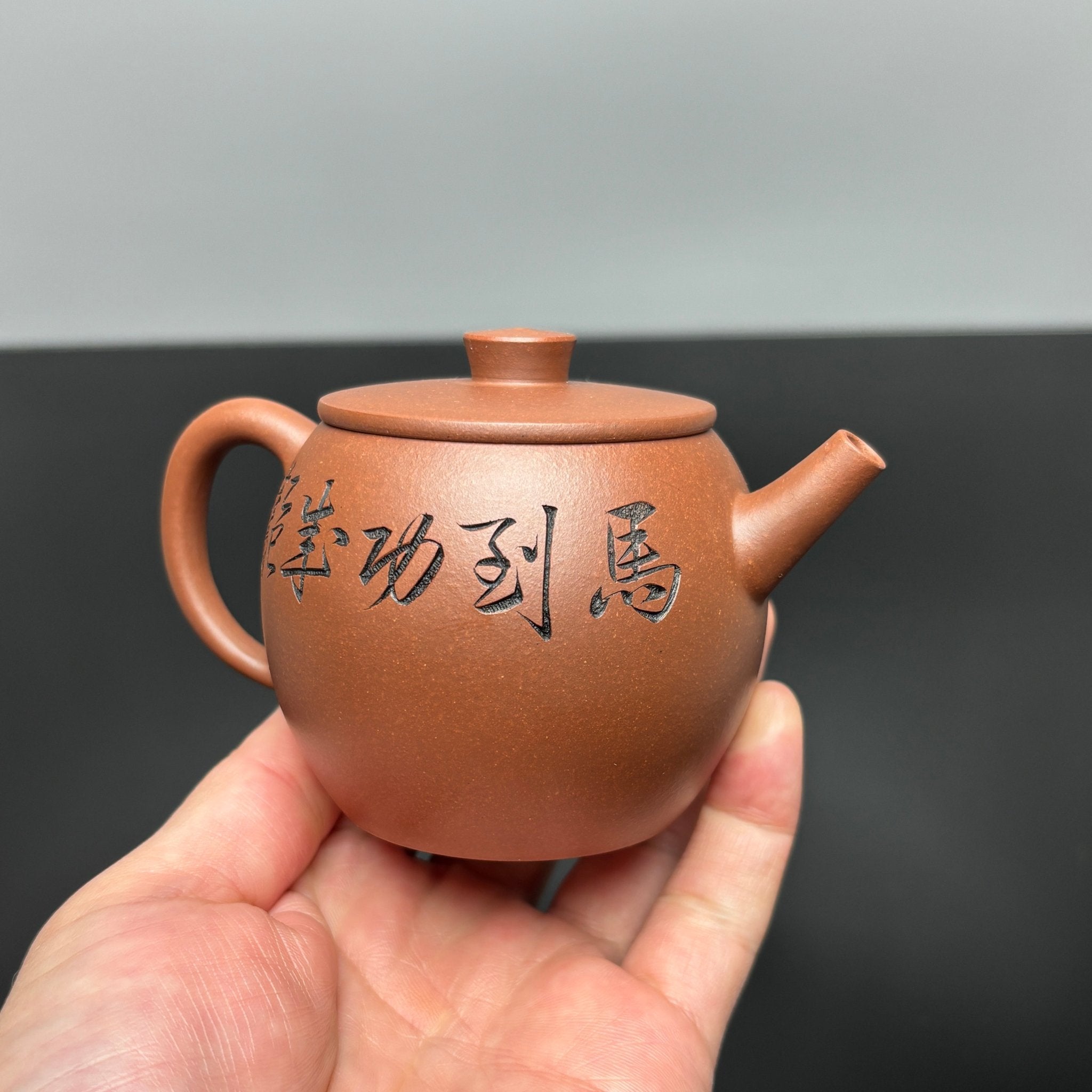 Ju Lun Zhu 170cc - Yixing Handmade Teapot - zycs_China - tea - teapot