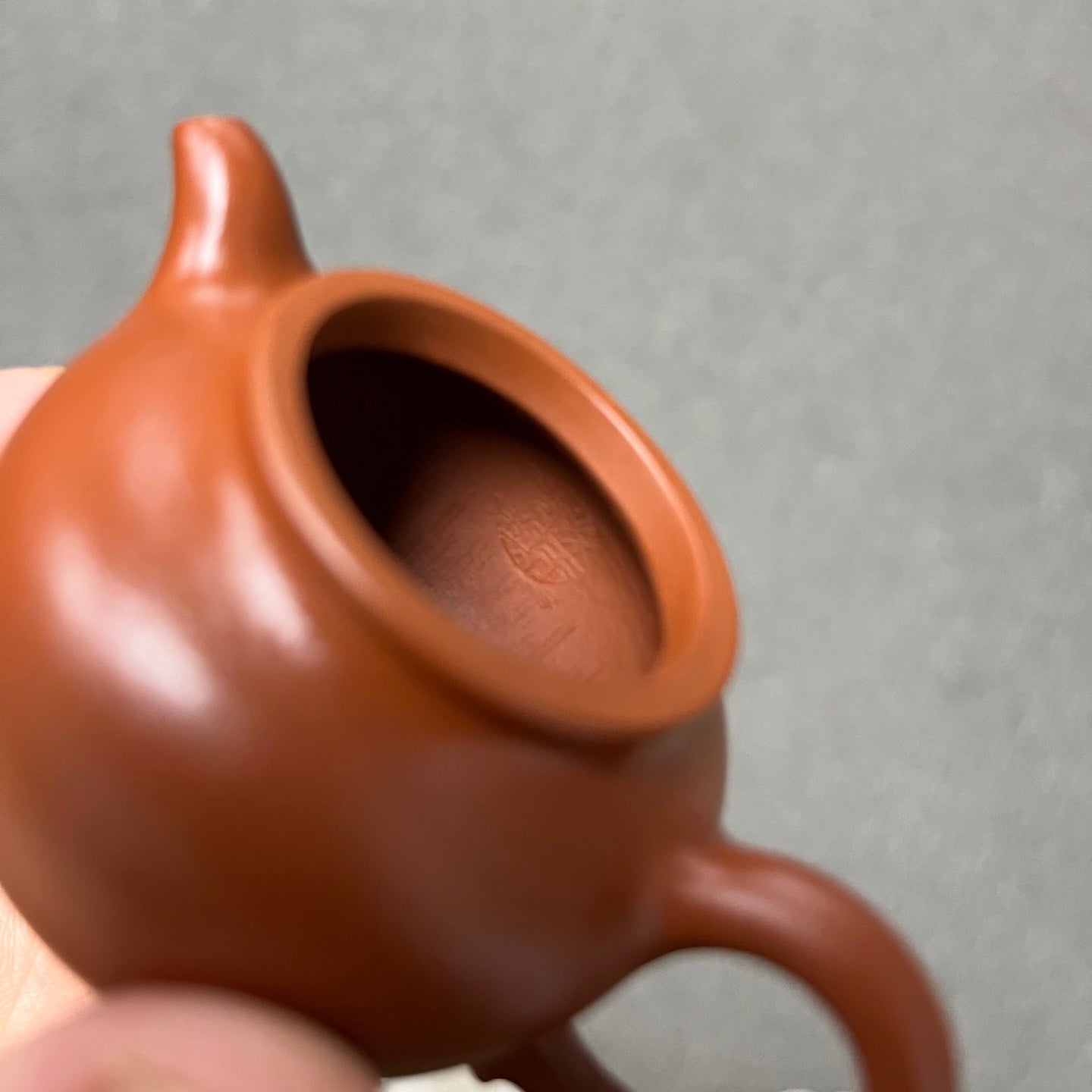 Lian Zi 60cc - Yixing Handmade Teapot - zycs_China
