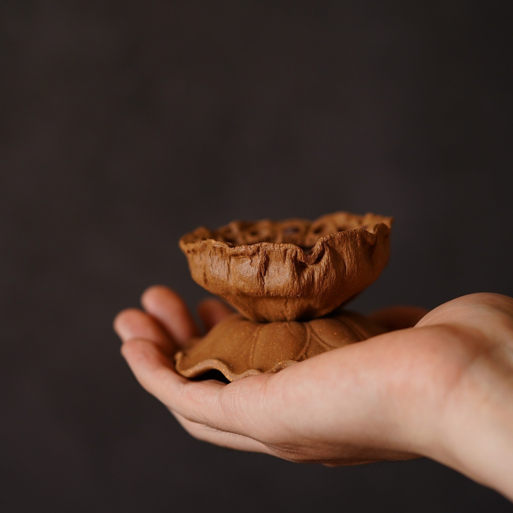 Lian Zi Cha Lou - Teaware - zycs_China - tea - teapot