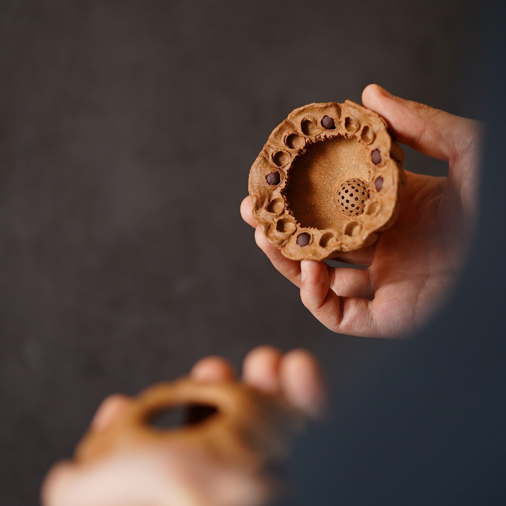 Lian Zi Cha Lou - Teaware - zycs_China - tea - teapot