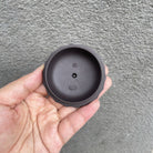 Ling Hua Shui Xian 200cc - Yixing Handmade Teapot - zycs_China