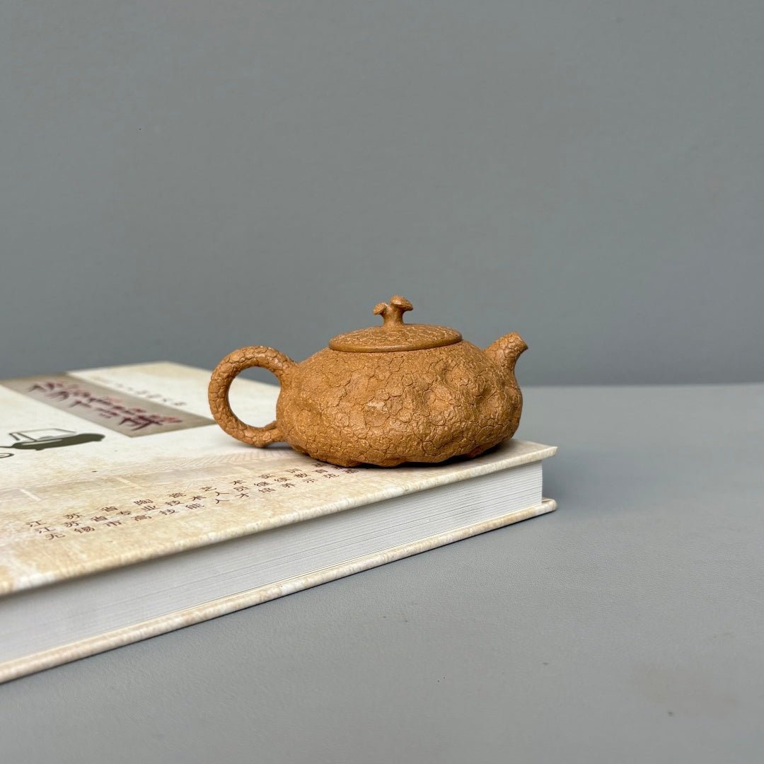 Ling Zhi Gong Chun 100cc - Yixing Handmade Teapot - zycs_China - tea - teapot