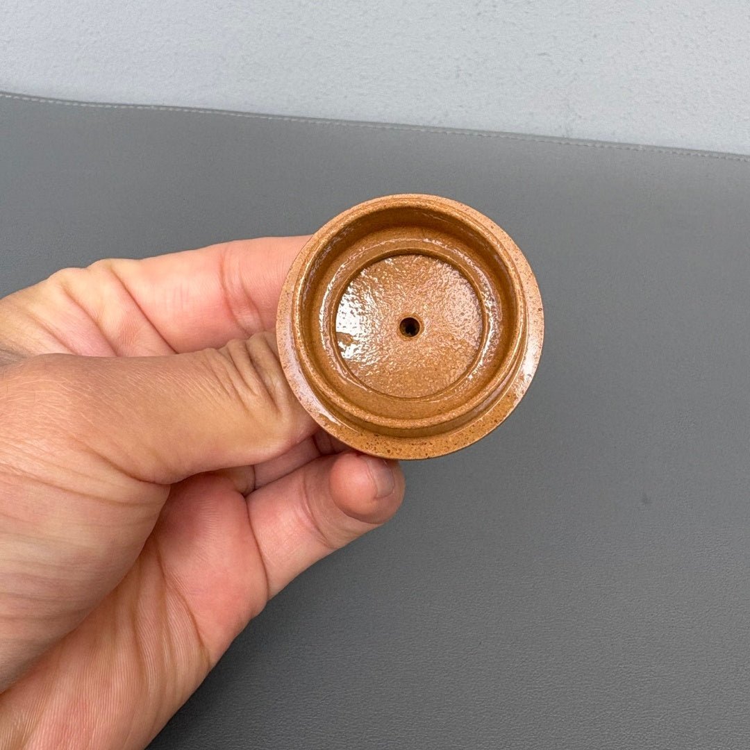 Ling Zhi Gong Chun 100cc - Yixing Handmade Teapot - zycs_China - tea - teapot