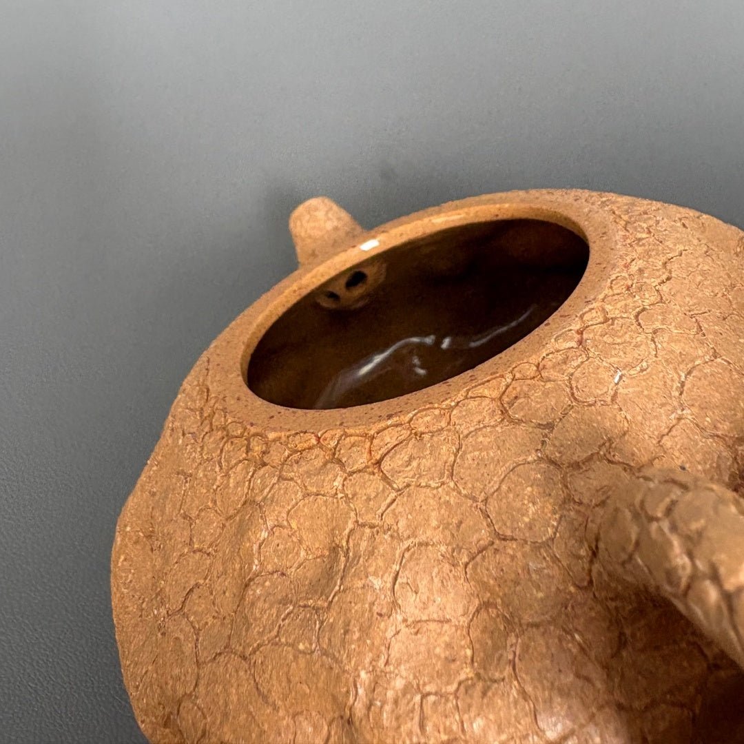 Ling Zhi Gong Chun 100cc - Yixing Handmade Teapot - zycs_China - tea - teapot