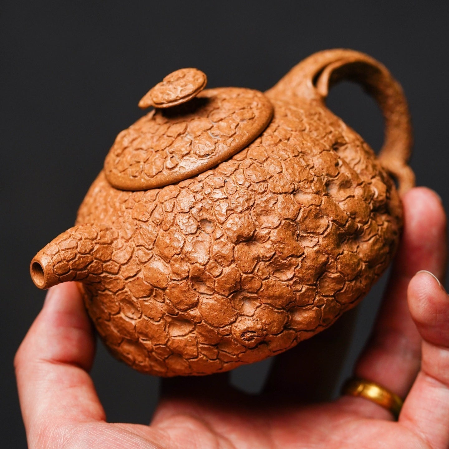 Ling Zhi Gong Chun 220cc - Yixing Handmade Teapot - zycs_China