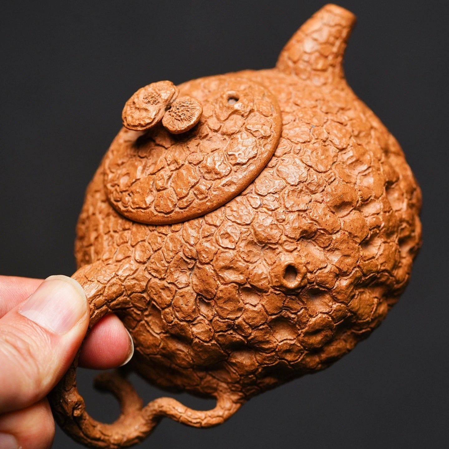 Ling Zhi Gong Chun 220cc - Yixing Handmade Teapot - zycs_China