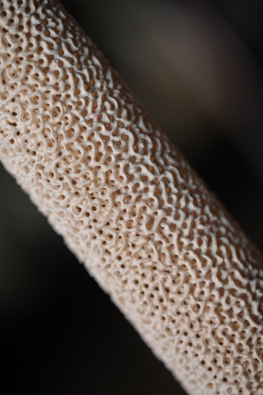 Ling Zhi - Mammoth Sculpture - zycs_China