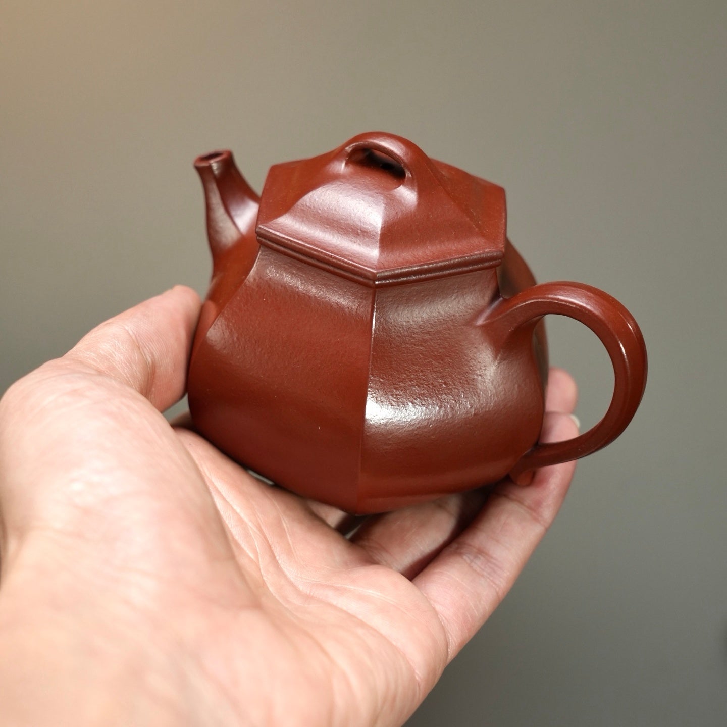 Liu Fang Ling Zhu 170cc - Yixing Handmade Teapot - zycs_China