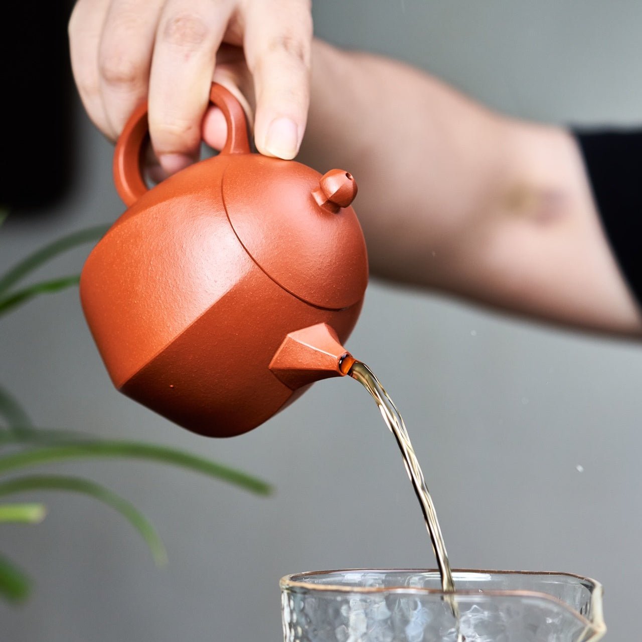 Liu Fang Long Dan 200cc - Yixing Handmade Teapot - zycs_China