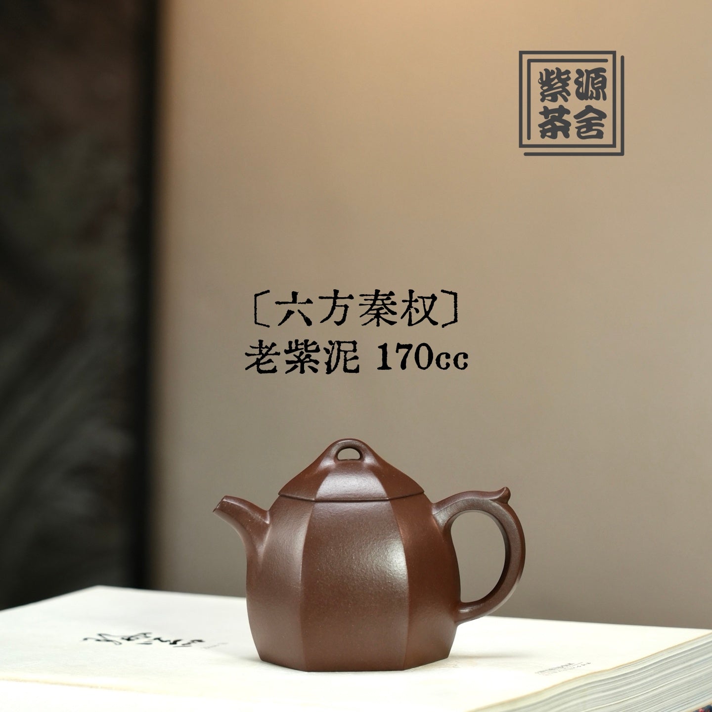 Liu Fang Qin Quan 170cc - Yixing Handmade Teapot - zycs_China