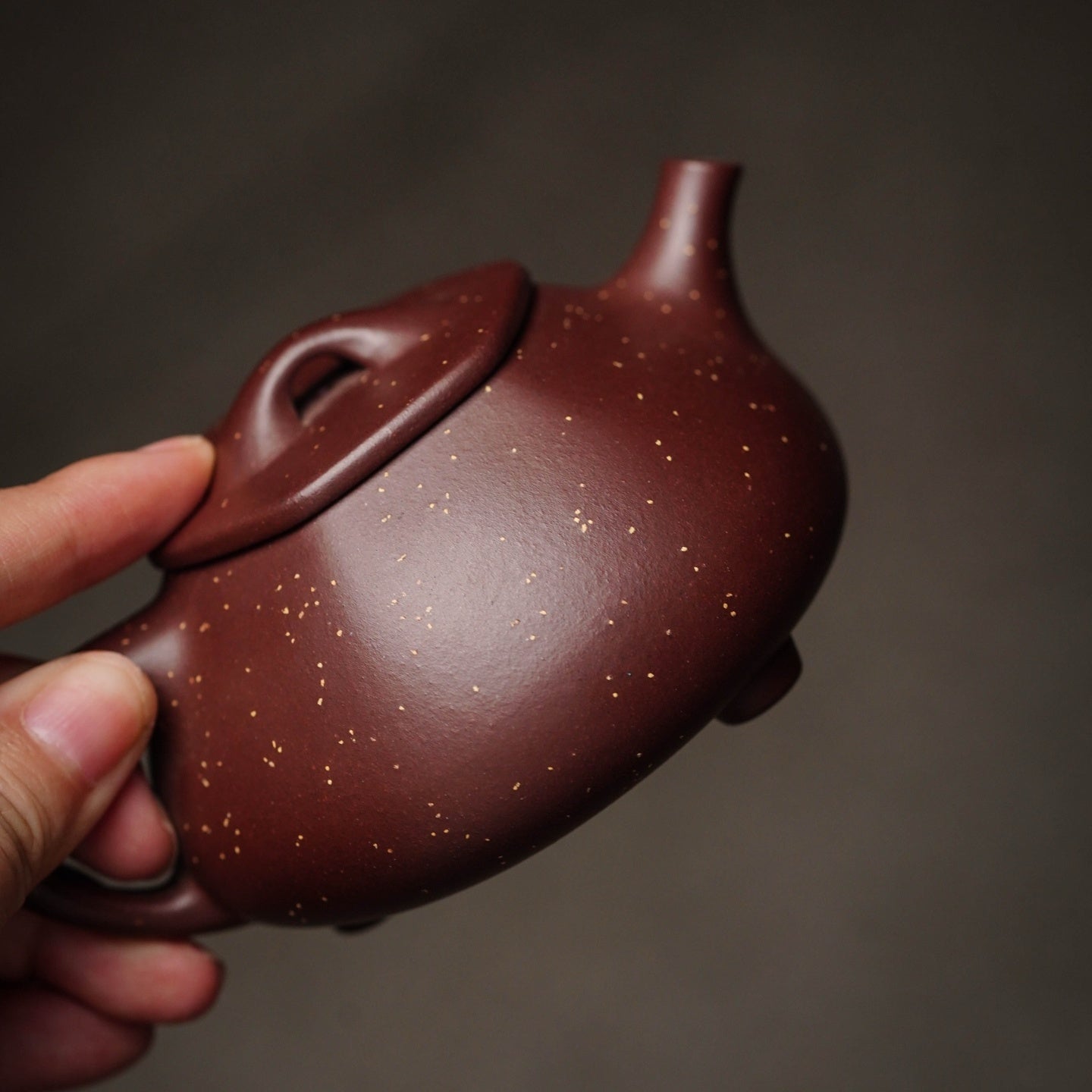 Liu Fang Shi Piao 160cc - Yixing Handmade Teapot - zycs_China