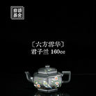Liu Fang Xue Hua 160cc - Yixing Handmade Teapot - zycs_China