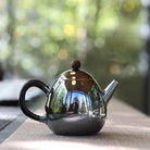 Long Dan 200cc - Handmade silver pot - zycs_China - tea - teapot