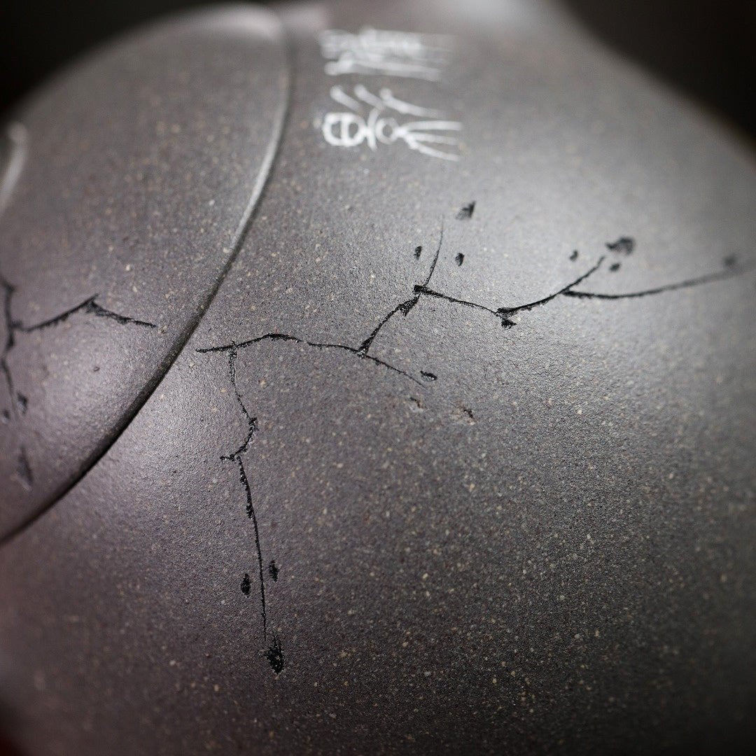 Long Dan 200cc - Yixing Handmade Teapot - zycs_China
