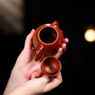 Long Dan 200cc - Yixing Handmade Teapot - zycs_China