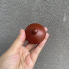 Long Dan 200cc - Yixing Handmade Teapot - zycs_China