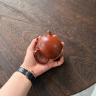 Long Dan 200cc - Yixing Handmade Teapot - zycs_China - tea - teapot