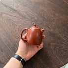 Long Dan 200cc - Yixing Handmade Teapot - zycs_China - tea - teapot