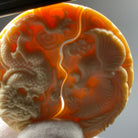 Long Feng - Mammoth Sculpture - zycs_China