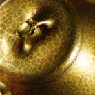 Long Piao 230cc - Yixing Handmade Teapot - zycs_China