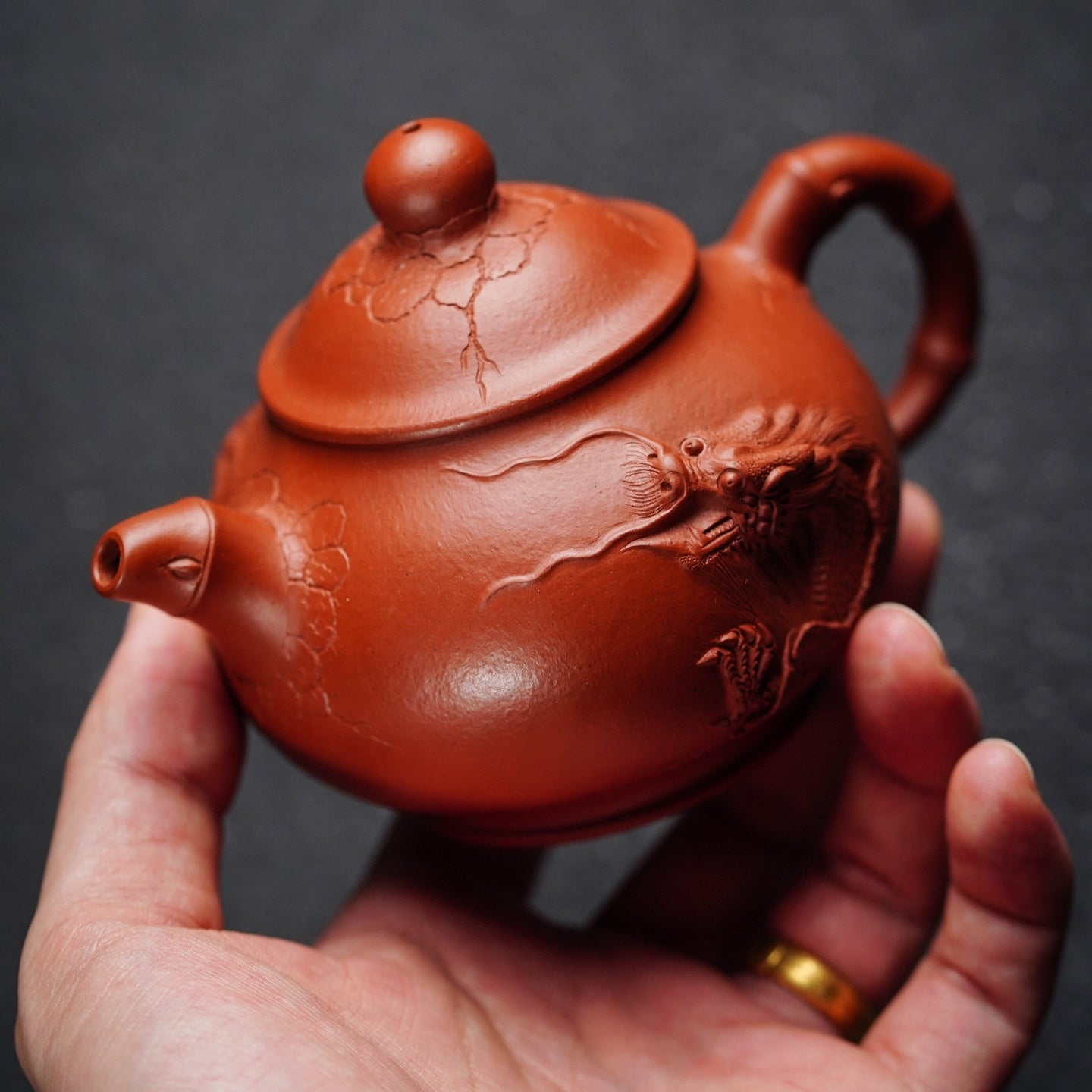 Long Teng 230cc - Yixing Handmade Teapot - zycs_China