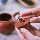 Long Yun Pi Xiu 190cc - Yixing Handmade Teapot - zycs_China
