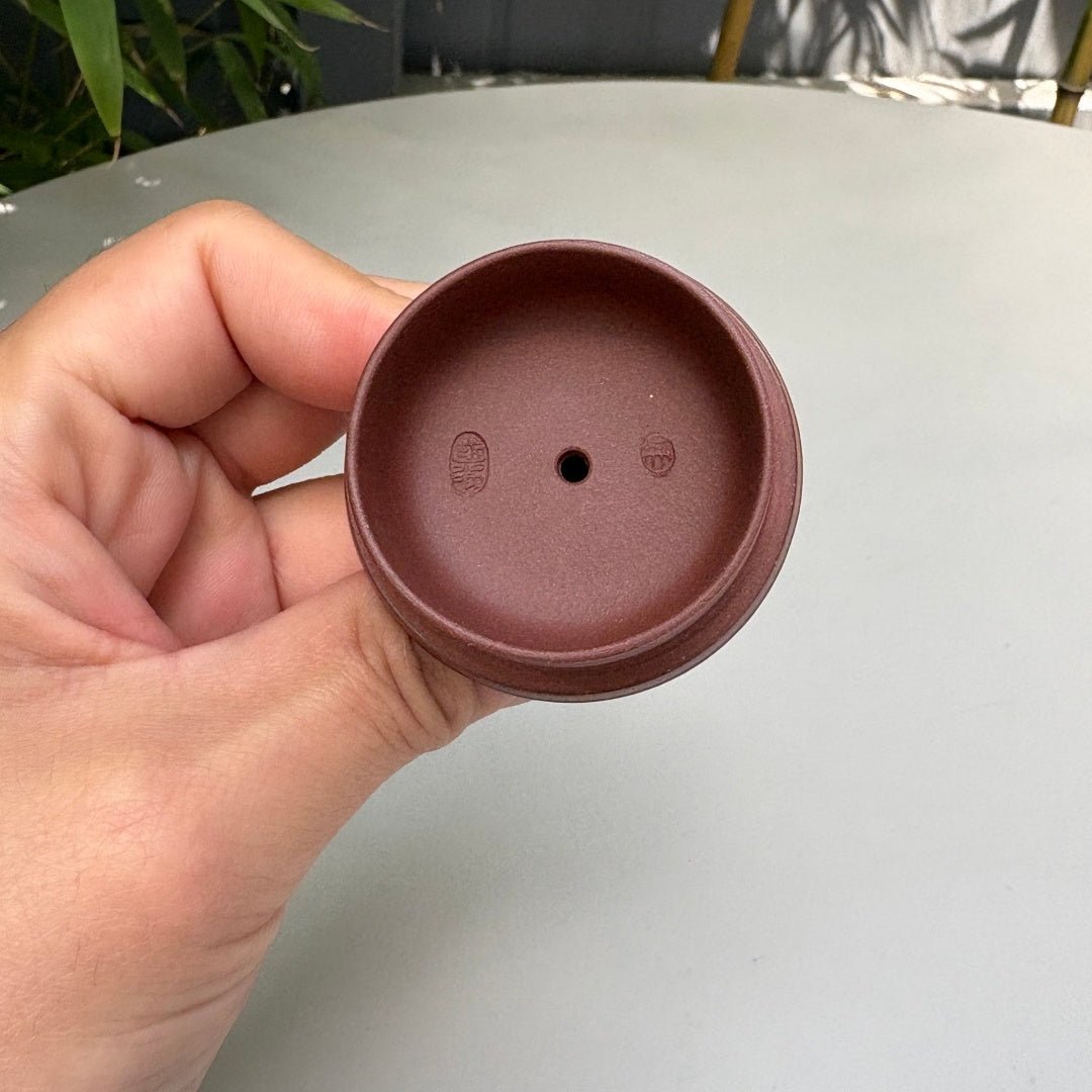 Ma Dao Cheng Gong 260cc - Yixing Handmade Teapot - zycs_China - tea - teapot