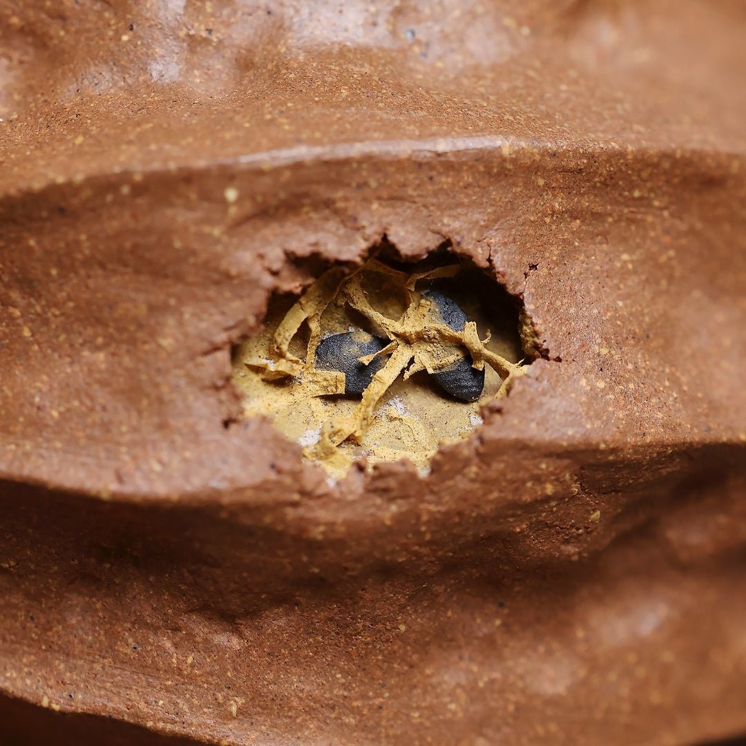 Man Bu Ren Sheng 170cc - Yixing Handmade Teapot - zycs_China