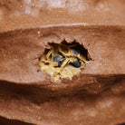 Man Bu Ren Sheng 170cc - Yixing Handmade Teapot - zycs_China