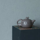 Man Bu Ren Sheng 200cc - Yixing Handmade Teapot - zycs_China