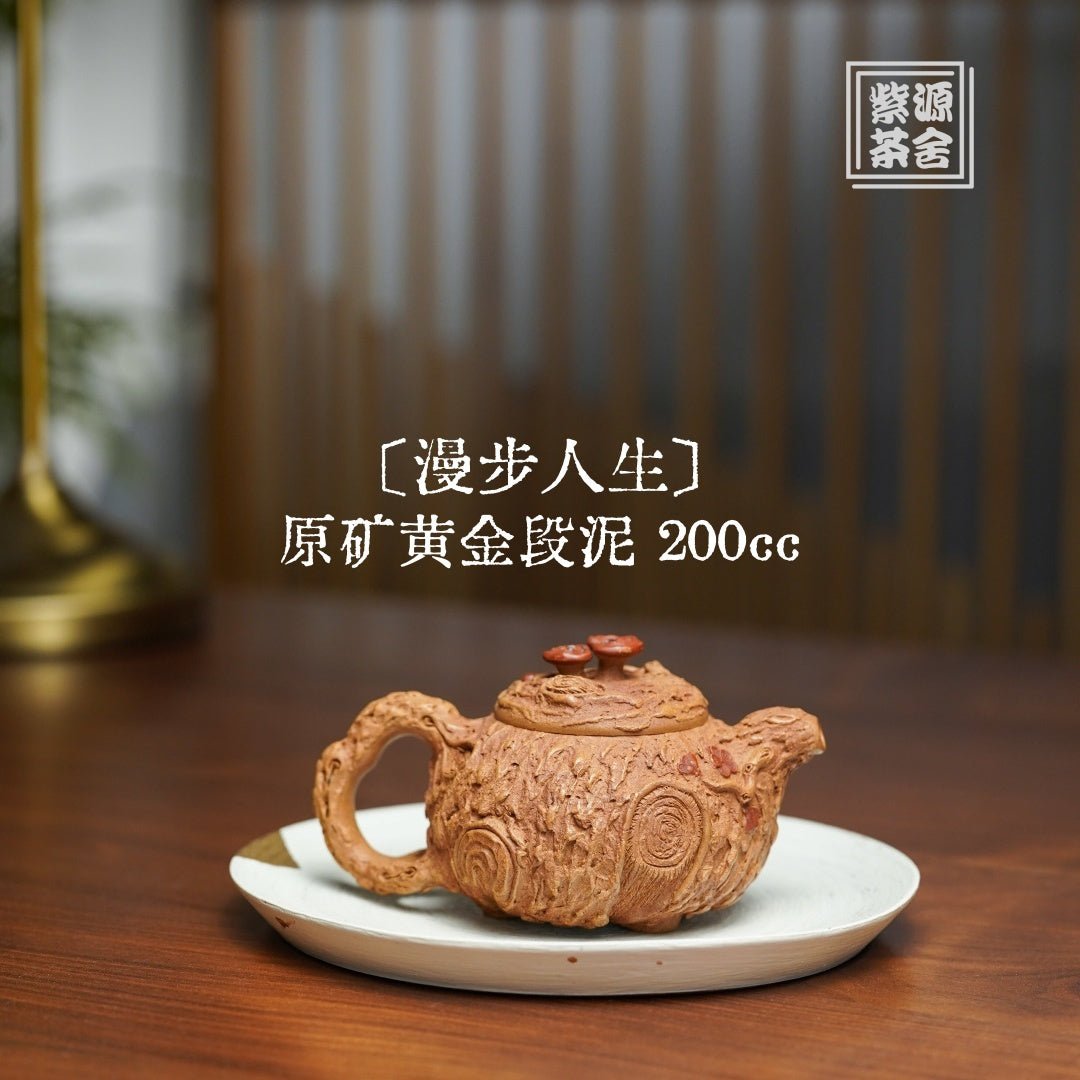 Man Bu Ren Sheng 200cc - Yixing Handmade Teapot - zycs_China