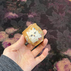 Mao Mi Bei 60cc - Yixing Handmade Teacup - zycs_China