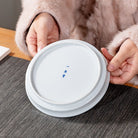 Mei Hua 140cc - Jing De Zhen Porcelain Gaiwan - zycs_China