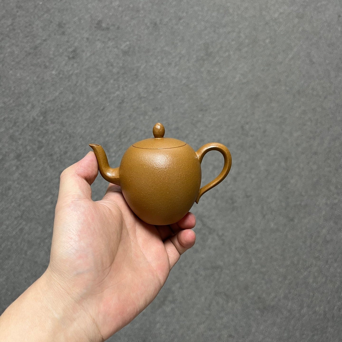 Mei Ren Jian 160cc - Yixing Handmade Teapot - zycs_China