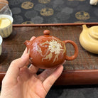Mei Ren Xi Shi 180cc - Yixing Handmade Teapot - zycs_China