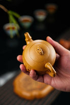 Mei Xiang Si Yi 200cc - Yixing Handmade Teapot - zycs_China